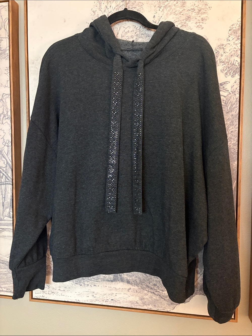 Express Dark Gray embellished Hooded Pullover Sweatshirt